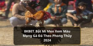 8KBET Bật Mí Mẹo Xem Màu Mạng Gà Đá Theo Phong Thủy