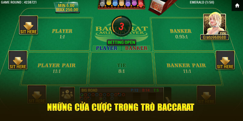 Những cửa cược trong Baccarat